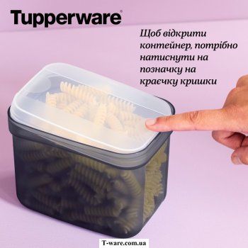 Набір контейнер «Тіп-топ» (460 мл/1 л/2,2 л) РП669 фото